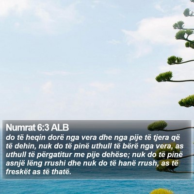 Numrat 6:3 ALB Bible Verse Image