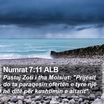 Numrat 7:11 ALB Bible Verse Image