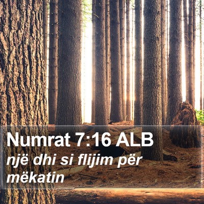 Numrat 7:16 ALB Bible Verse Image