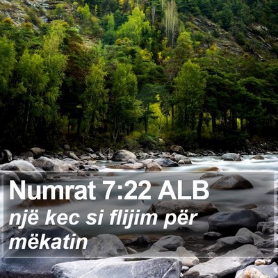 Numrat 7:22 ALB Bible Verse Image