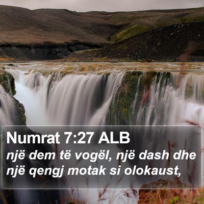 Numrat 7:27 ALB Bible Verse Image