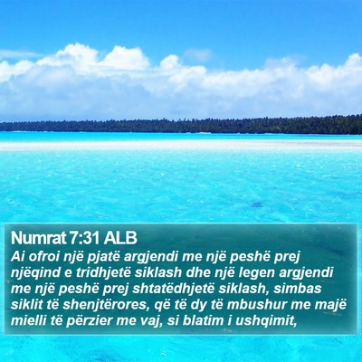 Numrat 7:31 ALB Bible Verse Image