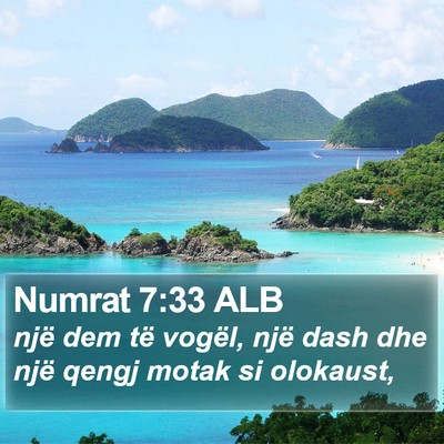 Numrat 7:33 ALB Bible Verse Image