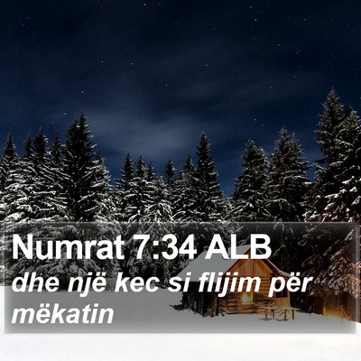 Numrat 7:34 ALB Bible Verse Image