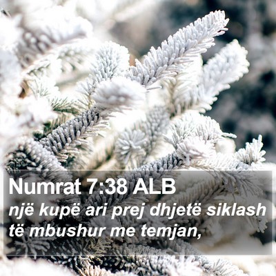 Numrat 7:38 ALB Bible Verse Image