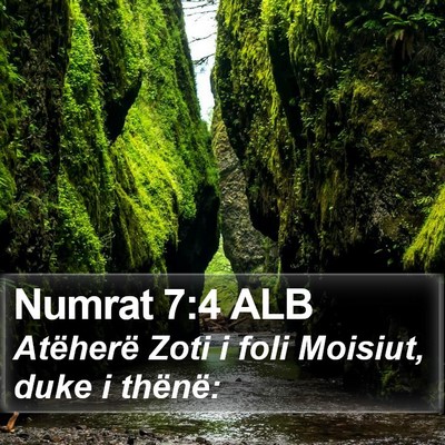 Numrat 7:4 ALB Bible Verse Image