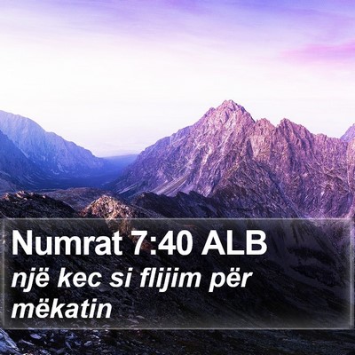 Numrat 7:40 ALB Bible Verse Image