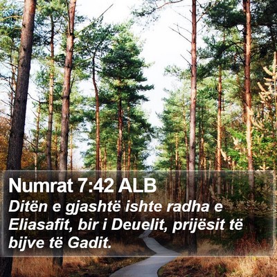 Numrat 7:42 ALB Bible Verse Image