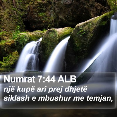 Numrat 7:44 ALB Bible Verse Image
