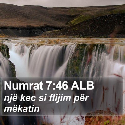 Numrat 7:46 ALB Bible Verse Image