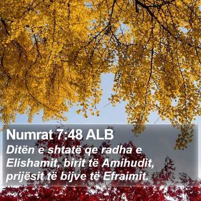Numrat 7:48 ALB Bible Verse Image