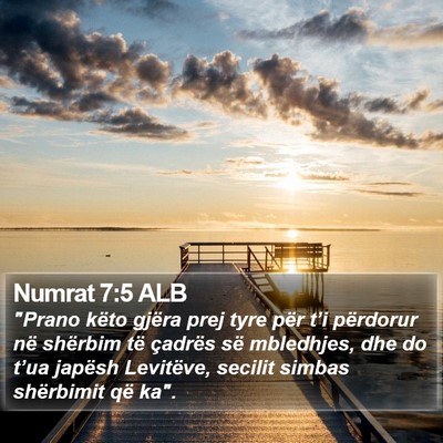 Numrat 7:5 ALB Bible Verse Image