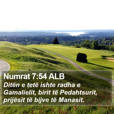 Numrat 7:54 ALB Bible Verse Image