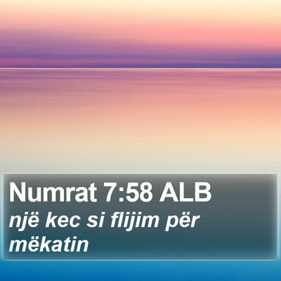 Numrat 7:58 ALB Bible Verse Image
