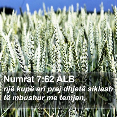 Numrat 7:62 ALB Bible Verse Image