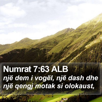 Numrat 7:63 ALB Bible Verse Image