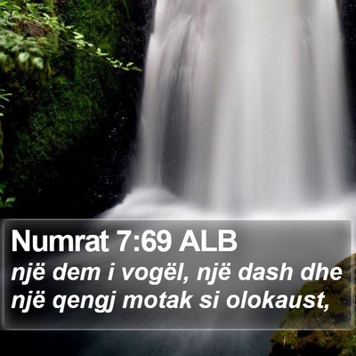 Numrat 7:69 ALB Bible Verse Image