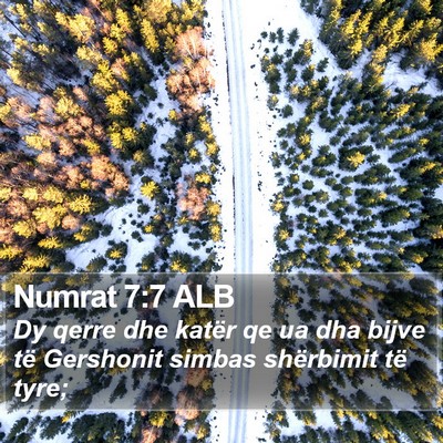 Numrat 7:7 ALB Bible Verse Image