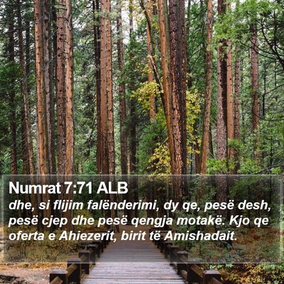 Numrat 7:71 ALB Bible Verse Image