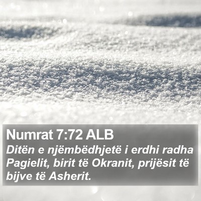 Numrat 7:72 ALB Bible Verse Image