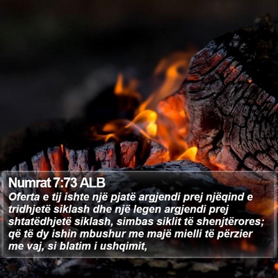 Numrat 7:73 ALB Bible Verse Image