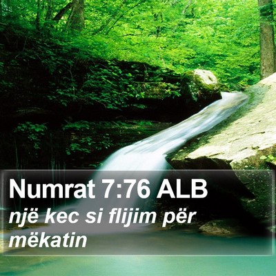 Numrat 7:76 ALB Bible Verse Image