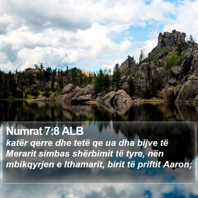 Numrat 7:8 ALB Bible Verse Image