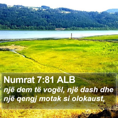 Numrat 7:81 ALB Bible Verse Image