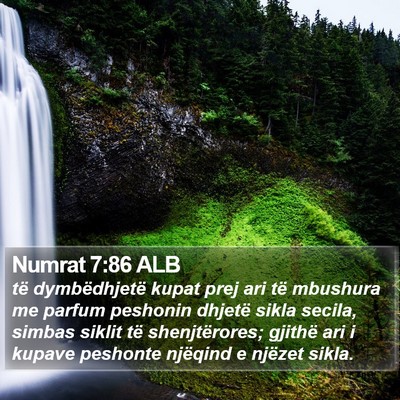 Numrat 7:86 ALB Bible Verse Image