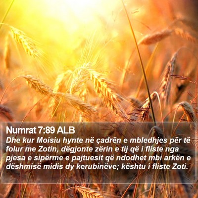 Numrat 7:89 ALB Bible Verse Image