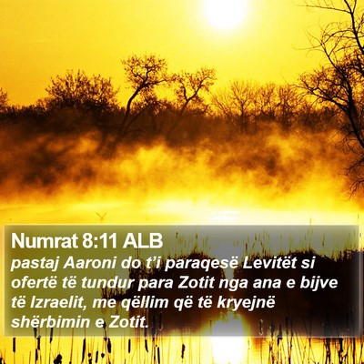 Numrat 8:11 ALB Bible Verse Image