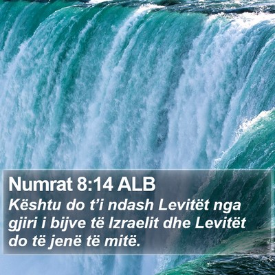 Numrat 8:14 ALB Bible Verse Image