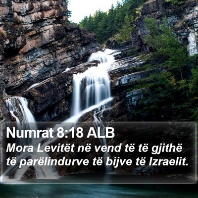 Numrat 8:18 ALB Bible Verse Image