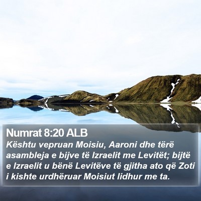 Numrat 8:20 ALB Bible Verse Image
