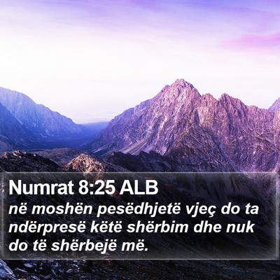 Numrat 8:25 ALB Bible Verse Image