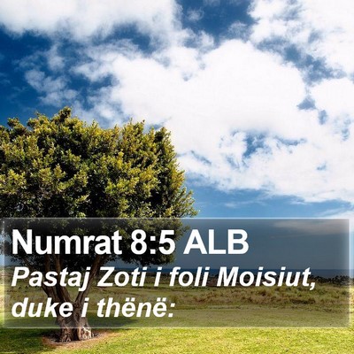 Numrat 8:5 ALB Bible Verse Image