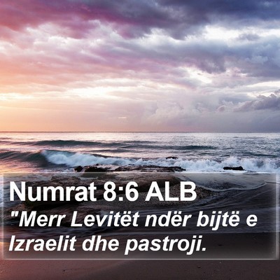 Numrat 8:6 ALB Bible Verse Image