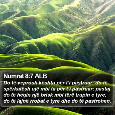 Numrat 8:7 ALB Bible Verse Image