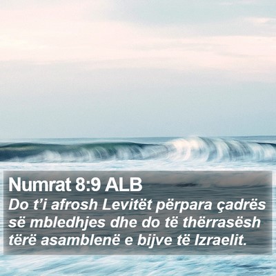 Numrat 8:9 ALB Bible Verse Image