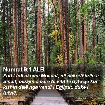 Numrat 9:1 ALB Bible Verse Image