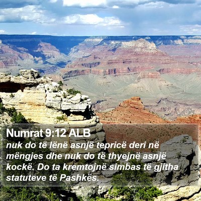 Numrat 9:12 ALB Bible Verse Image