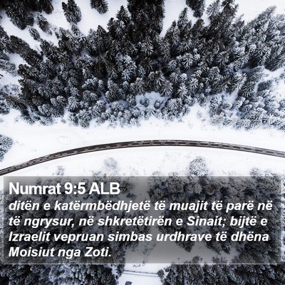 Numrat 9:5 ALB Bible Verse Image