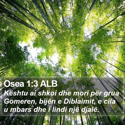 Osea 1:3 ALB Bible Verse Image