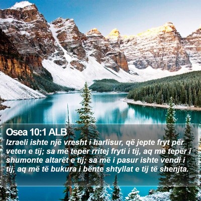 Osea 10:1 ALB Bible Verse Image