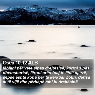 Osea 10:12 ALB Bible Verse Image
