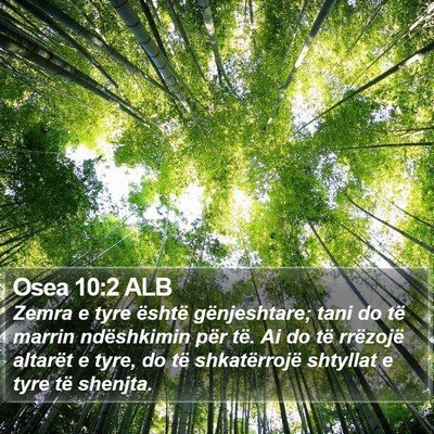 Osea 10:2 ALB Bible Verse Image