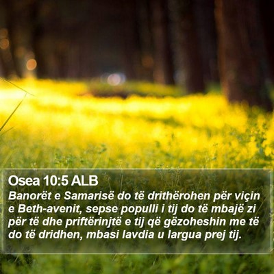 Osea 10:5 ALB Bible Verse Image