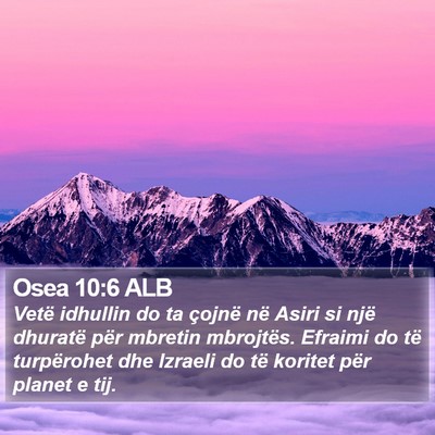 Osea 10:6 ALB Bible Verse Image