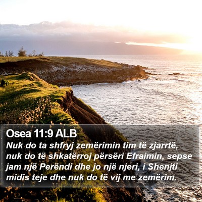 Osea 11:9 ALB Bible Verse Image