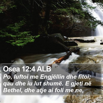 Osea 12:4 ALB Bible Verse Image